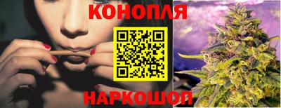 spice Кинель