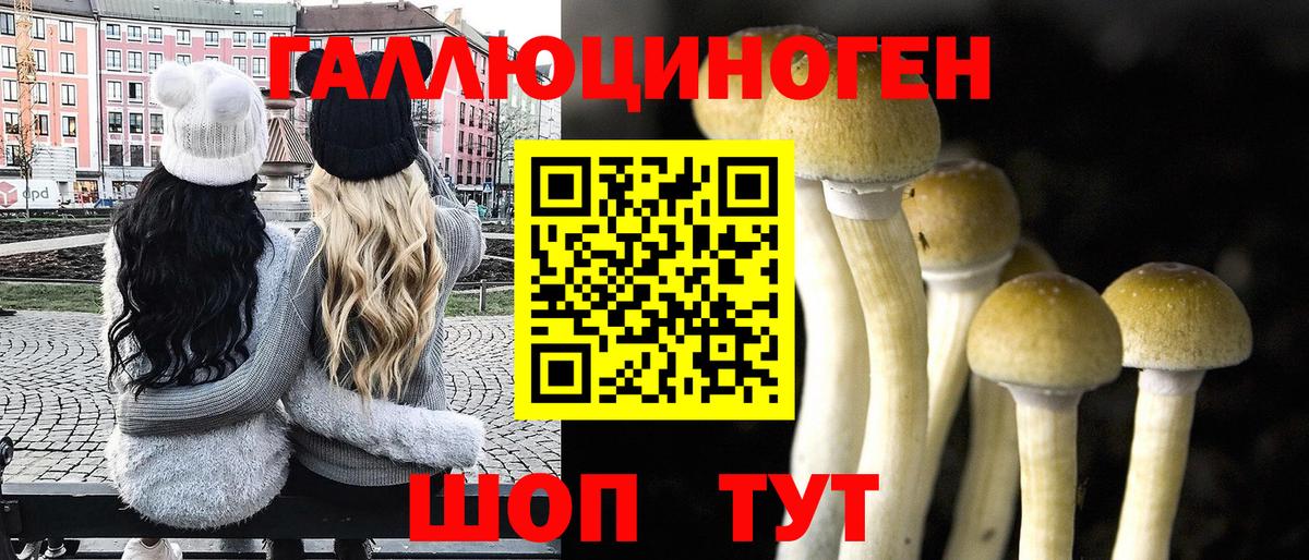 Лабытнанги  Галлюциногенные грибы GOLDEN TEACHER  где купить наркотик  Псилоцибиновые грибы MAGIC MUSHROOMS  Вход с VPN 